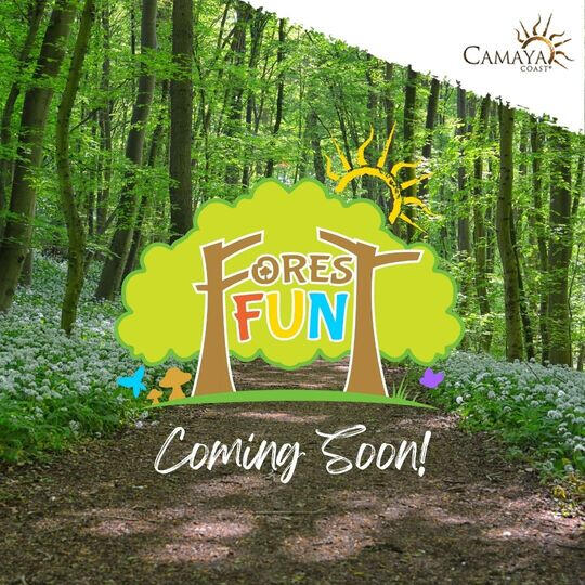 Forest Fun